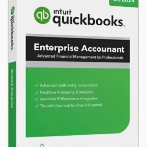 Enterprise Accountant US 2024